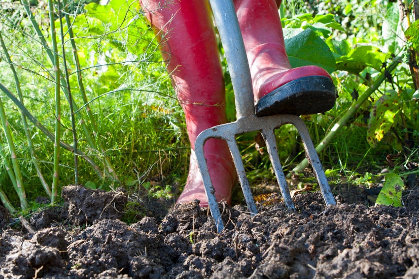 Gardner Gardening